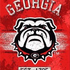 fftrmedicbell97's profile picture. 