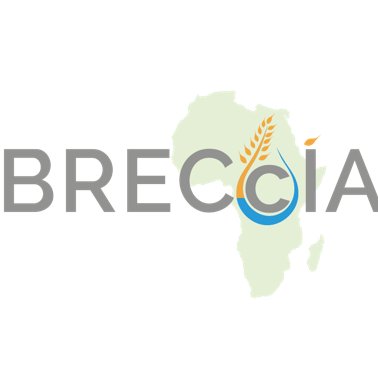 #GCRF GROW project 'Building research capacity for sustainable water and food security in drylands of sub-Saharan Africa' (BRECcIA)