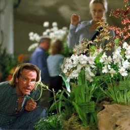 wk_31's profile picture. 