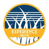 Experience Delta(@experiencedelta) 's Twitter Profile Photo