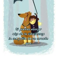 Lᴏʀᴇ 🐾🐾 (@lorecampos70) 's Twitter Profile Photo