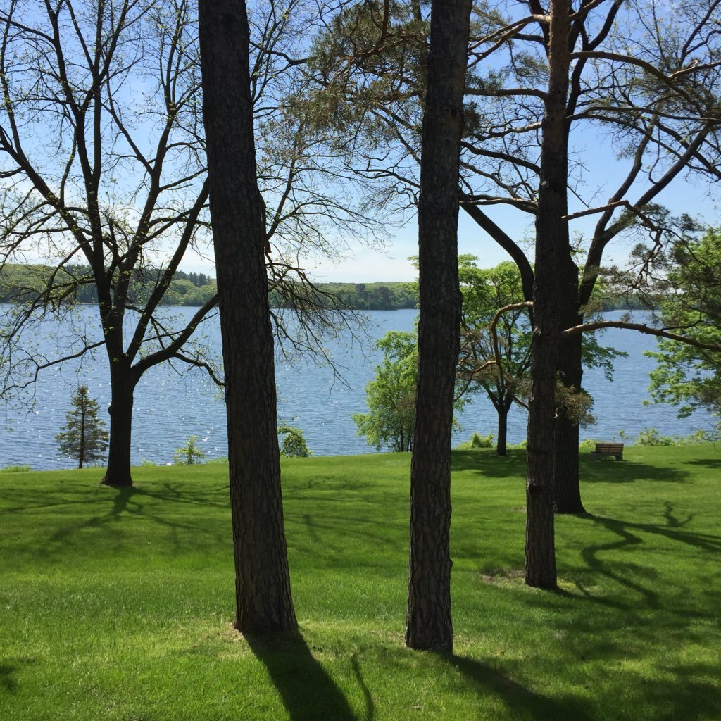 Lilpoling's profile picture. I hate filling out bios