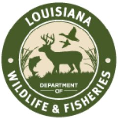 The Department of Wildlife and Fisheries is charged with the responsibility of managing and protecting Louisiana's abundant natural resources.