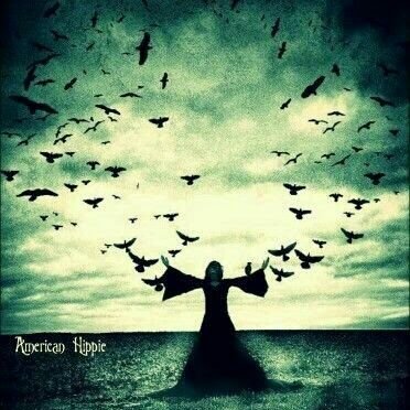 Alexander_Sha1's profile picture. (https://t.co/rBmhxYgZko)