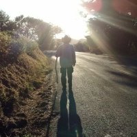 Jon Riley (@laborsib) 's Twitter Profile