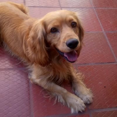Mágico