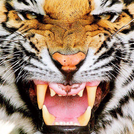 TimWhite777's profile picture. 