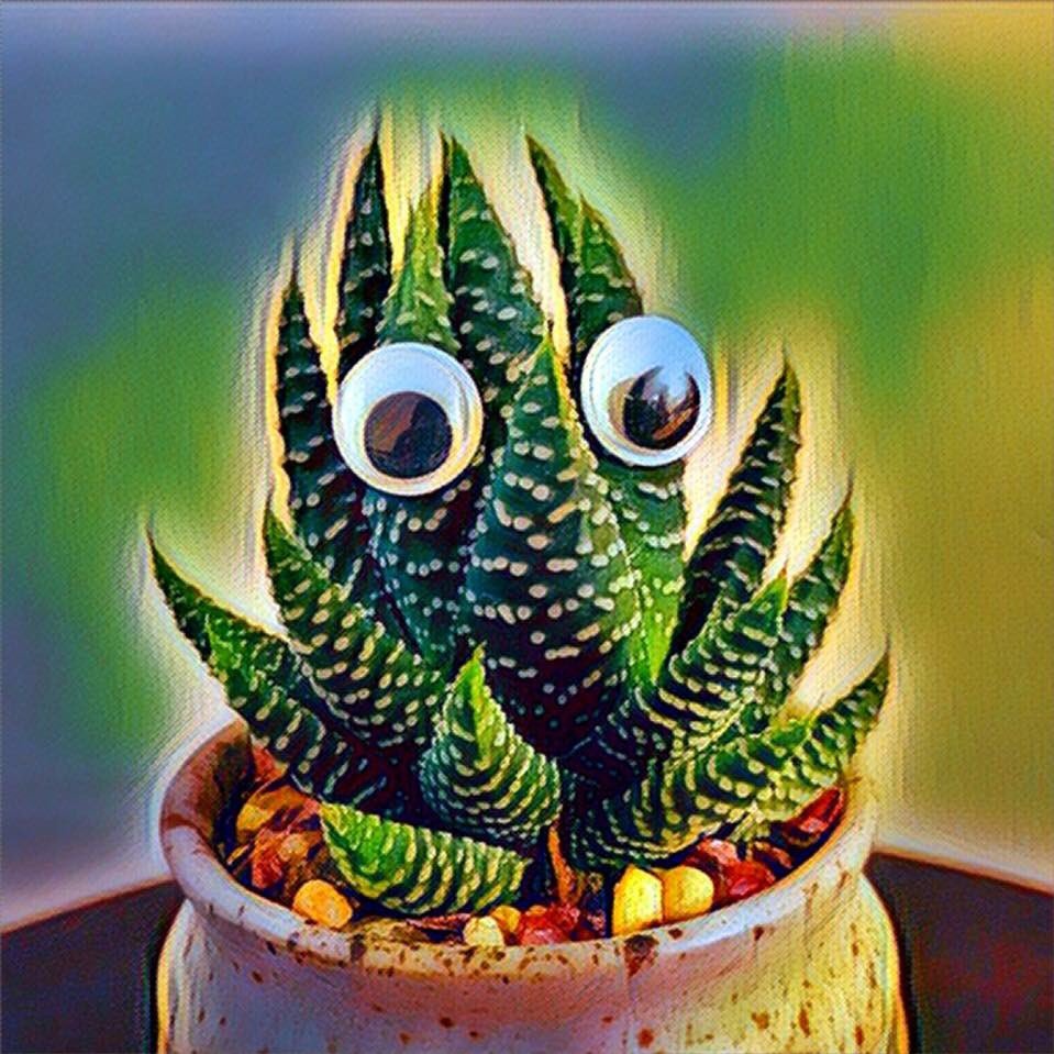 Shinypants0's profile picture. Lecturer RMIT
Post-doc RRU
PhD WesternU 
🙃