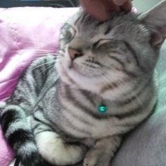 rskira62's profile picture. たまに配信。
内容は雑談かゲーム垂れ流しです。
ニコニコ：https://t.co/vTLW9PtsH2
ツイキャス：https://t.co/hydiNJyShe

※リツイートは記録用
メカエンジニア（設計職）やってます。