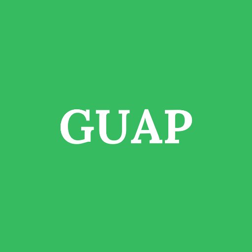 guapfinance Profile Picture