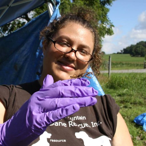 Double English and Microbiology major. Firm believer that STEM should be STEAM. @GeneticsGSA lover of #scicomm and outreach. Boricua. She/her.