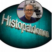 Pascual Meseguer (@histopatolomon) 's Twitter Profile Photo Pascual Meseguer (@histopatolomon) 's Twitter Profile Photo