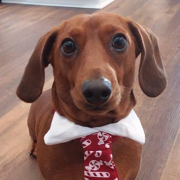 mrsfulling's profile picture. 