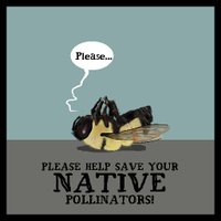 Entomology Uncensored (@bugsuncensored) 's Twitter Profile Photo