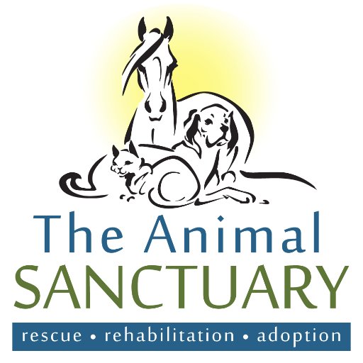 A no-kill animal sanctuary for all domesticated animals. OPENING SOON in Brevard County, FL! #animalrescue🐾