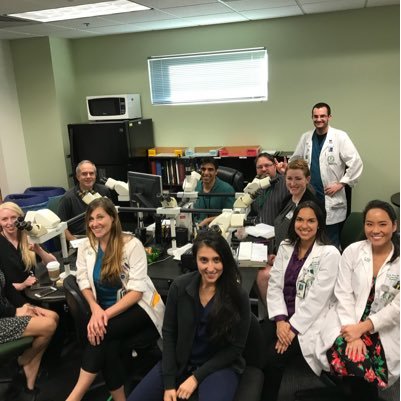 USF-area dermatopathologists who come together each week to share killer cases