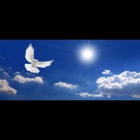 ZP (@preetz35) 's Twitter Profile