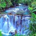 Amazing scenery & Flowers (@obsessor1000) Twitter profile photo Amazing scenery & Flowers (@obsessor1000) Twitter profile photo
