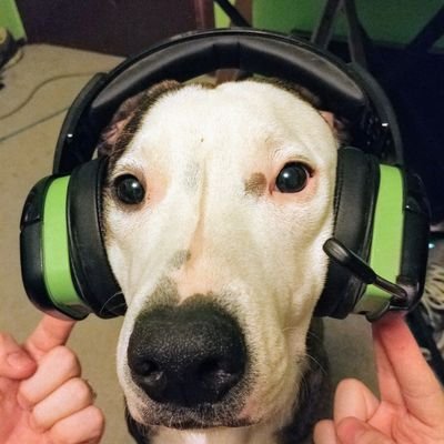 Chai The Border Pittさんのプロフィール画像