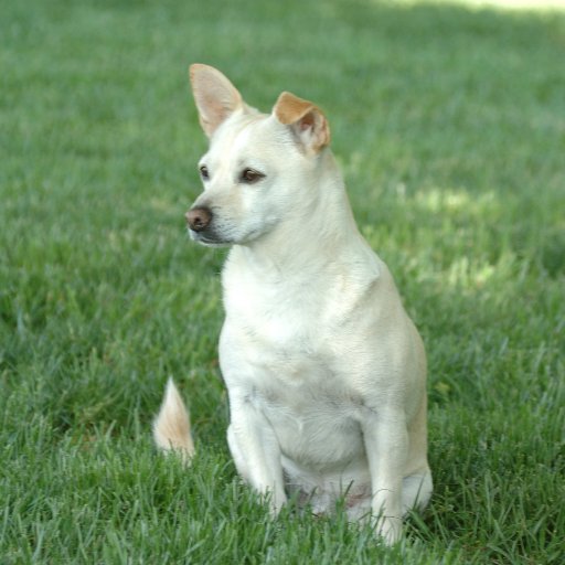 maritzasolito's profile picture. #IAmWithJoeBiden, #Latina,  grandmother of twins, VietnamVets 4 O’Bama (My husband is a Vietnam Vet-former USMC) & #VeteransAgainstTrump #StillWithHer