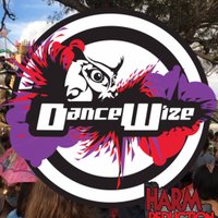 DanceWize(@DanceWize) 's Twitter Profile Photo
