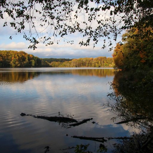 Raising awareness on the future of Lake Accotink in Springfield, VA.  

FB: https://t.co/LRQKhh0Ahv   
IG:  https://t.co/EqtgE5bGQ3