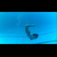 Pececito (@guusmz) 's Twitter Profile