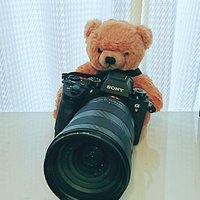 おーくん (@o_kun3) Twitter profile photo