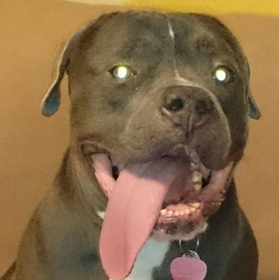 MaryDee67's profile picture. 