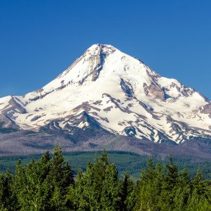 DaveMtHood's profile picture. 