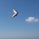 Ben Haug - @flyjunky - Twitter