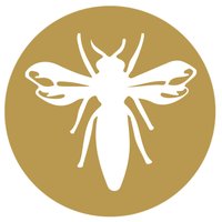 Save Our Bees Australia (@saveourbeesau) 's Twitter Profile