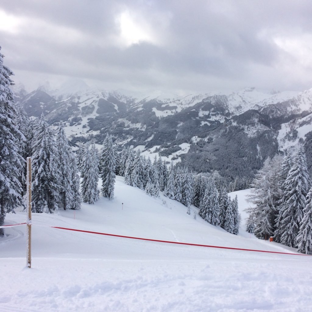 Twitter account to follow the 2018 WGS ski trip to Austria