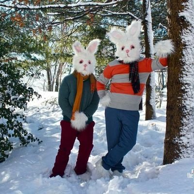 Join me as I visit bunny families and interview them about their lives. Let's explore this intriguing and fascinating tale of 'A Day In My Life With Bunnies