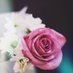 Dr. Manahil Aldar (@manahilaldar) Twitter profile photo Dr. Manahil Aldar (@manahilaldar) Twitter profile photo