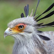 sardine_bird's profile picture. バイオ系に所属する情報系大学生/名大理生命B4(1回目)/React, Docker, Python/趣味：ウイスキー、読書、写真(#Nikon #ニコン D7500)/