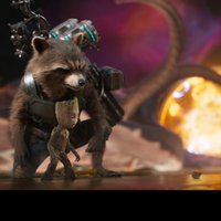 rocket. (@rocket_ntr) 's Twitter Profile