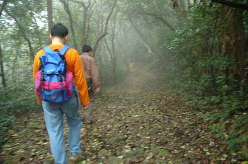 Films fan & Nature lover