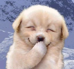 smile_0117's profile picture. 