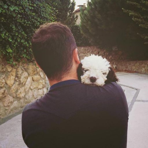 oscarpuigh's profile picture. 