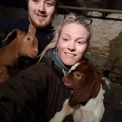 MegMorgan94's profile picture. 24 YO Farmers daughter. Uplands farm, Starting my own thing. L💙 🐑 sc: Mogzx