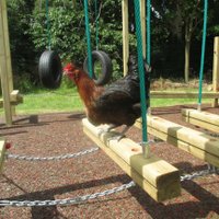 West Twyford Primary School (@westtwyfordsch) Twitter profile photo