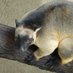 Phillips Lab (@phillipsevolab) Twitter profile photo Phillips Lab (@phillipsevolab) Twitter profile photo