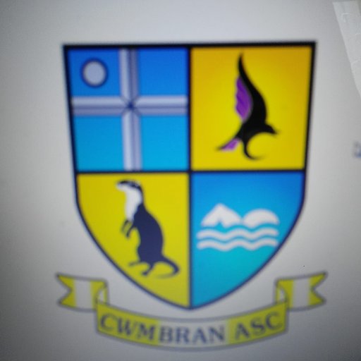 cwmbran_otters Profile Picture