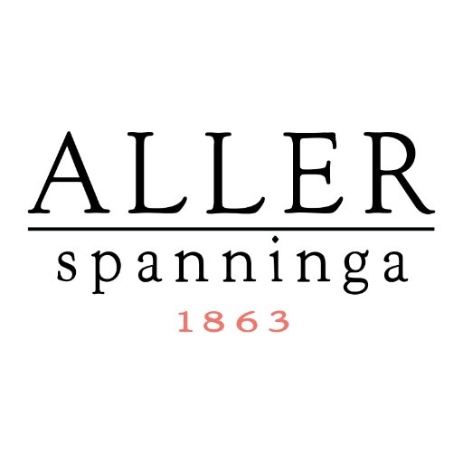 allerspanninga Profile Picture