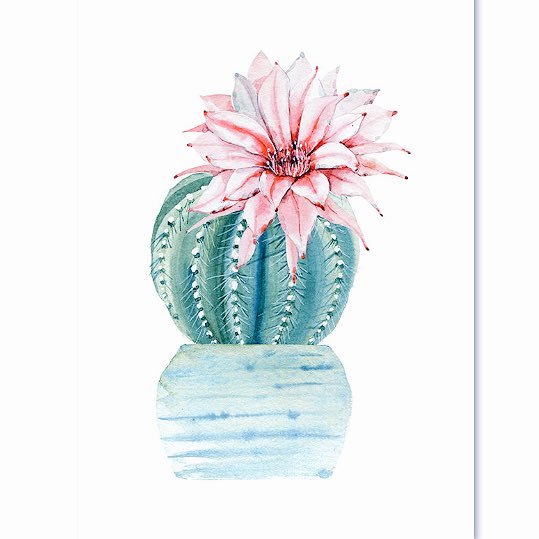 et_voici_ceci's profile picture. 