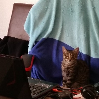 WolfgangFB's profile picture. educational gamedev (University) located in germany and freelance gamedev.
I post rarely and I am unable to finish any personal project..