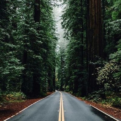 isim_yok_7213's profile picture. 