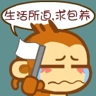 zzzqaz's profile picture. |