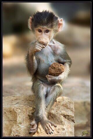 nikaledneva_88's profile picture. Web Entrepreneur, ICO expert Hope to create a bright future for our galaxy :) Web Dev and code maniac. Love #dogs, movies and books. Always open for people :)